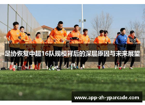 足协恢复中超16队规模背后的深层原因与未来展望