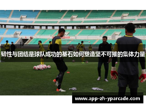 韧性与团结是球队成功的基石如何塑造坚不可摧的集体力量