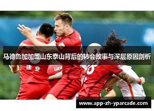 马德鲁加加盟山东泰山背后的转会故事与深层原因剖析