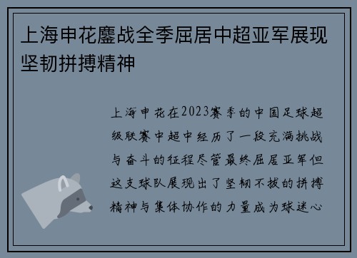 上海申花鏖战全季屈居中超亚军展现坚韧拼搏精神