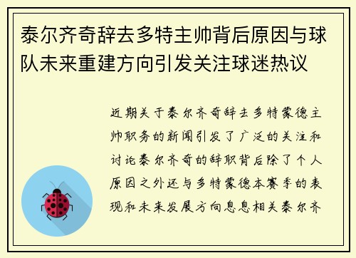 泰尔齐奇辞去多特主帅背后原因与球队未来重建方向引发关注球迷热议